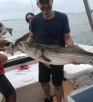 Savoring the Striped Bass Magic