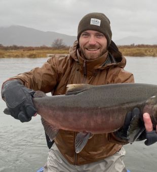 Perfect Salmon catch in Willow Alaska!