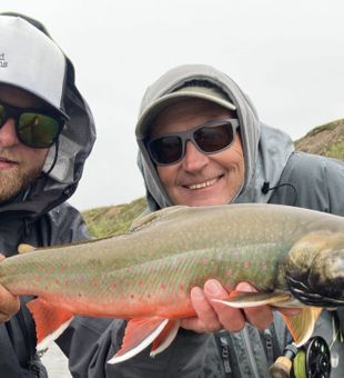 #RainbowTrout #AlaskaFishing!