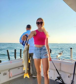 Half Day Salmon Fishing South Haven