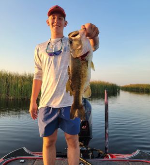 Sunrise Bass catch on Headwaters Lake!
