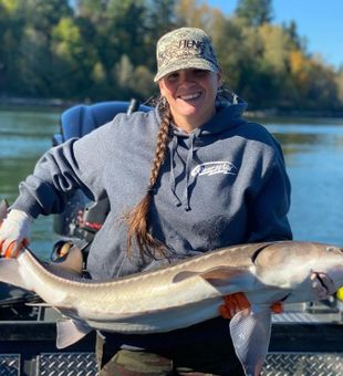 Sturgeon in Eagle Creek, OR