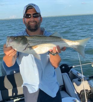 Striped bass: the ultimate angler's challenge!