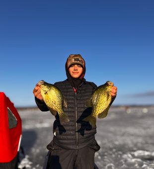 Winter Crappie Fishing in Lake Erie Tributaries