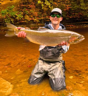 Cool currents and chrome-bright steelhead on Chautauqua Creek – Mayville, New York.