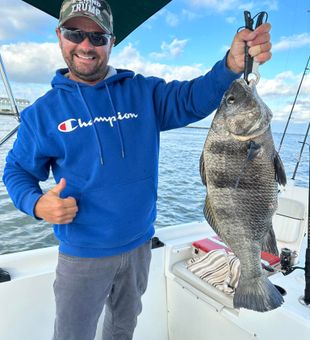 Solid Black Drum!