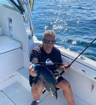 Solid Black Sea Bass catch