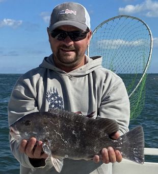Bulky Black fish- Ocean City, MD