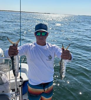 Pensacola Beach delivered another great trip.