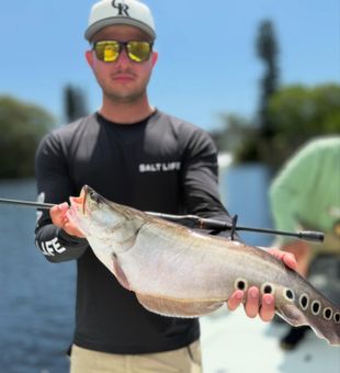 Backcountry Saltwater Fishing FL