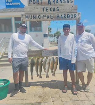 Cast, wait, catch, repeat.