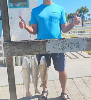 Solid Redfish Limit