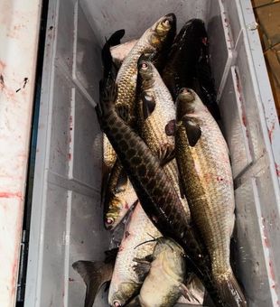 Plan your next Texas bowfishing adventure in Orange, where nighttime conditions make it easier to spot and shoot big fish.