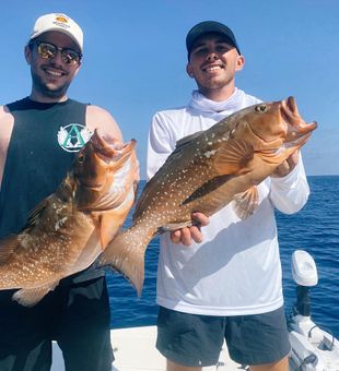 Clearwater FL Grouper fishing fun 🎣
