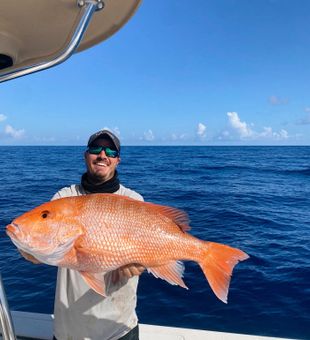 Snapper action on Clearwater waters