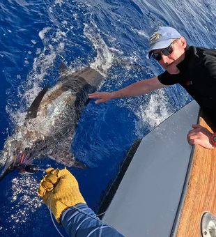 Experience Kona Fishing! 