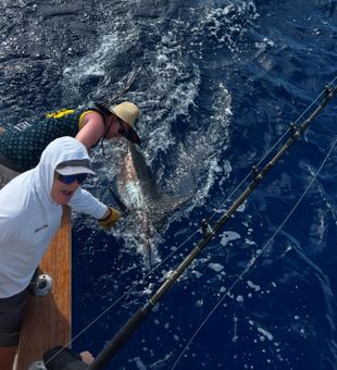Living for those Black Marlin moments!