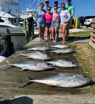 Tuna season is up, time for you to turn up!