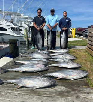 Tuna catch, weighed and kept as food