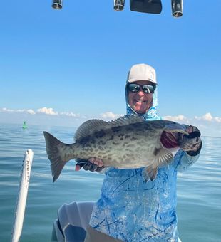 Nice gag grouper landed in Tampa waters!
