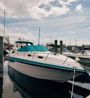 Sleek - Orangeville, MI.