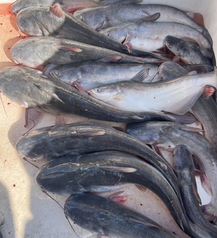Kids and adults enjoying a hands-on experience on a family fishing trip in Oklahoma