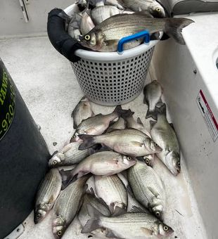 Freshwater fishing in Sand Springs, OK—where every cast brings opportunity.