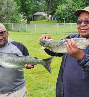 Smells like Dinner - Lake Ontario