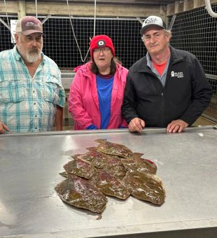 Catching flounder in Matagorda Bay