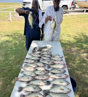 Crappie Haul- Lewisville, TX.