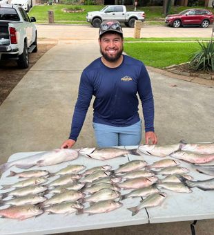 Loaded with White Bass and Catfish!