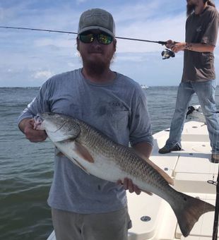 Redfish in Jacksonville, FL