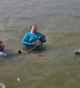 Monster Lake Tawakoni catch secured with rope!