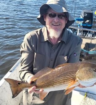 Spring Hill redfish showing off those beautiful bronze colors!