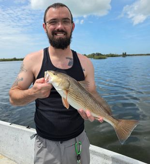 Spring Hill redfish making the day worthwhile!