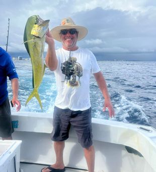 Chase Mahi Mahi Magic