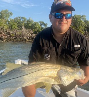 Snook Naples Charter Fishing
