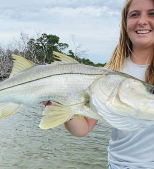 Snook Fishing Naples Waters