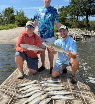 Gulf Shores speckled trout delivering the action!