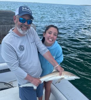 Blacktip shark action in Cape Coral FL waters!