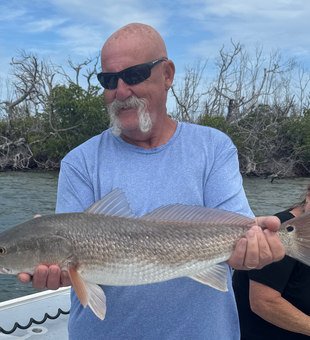 Beautiful Cape Coral redfish making memories on the water!