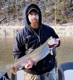 Trout from Western New York Creeks