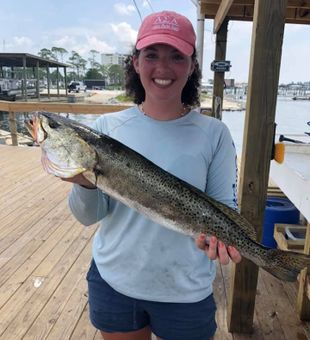 Beautiful Trout in Orange Beach, AL