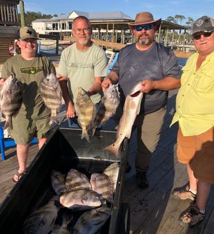 Sheepshead and Redfish Fishing in Orange Beach