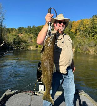 Michigan steelhead landed, epic catch!