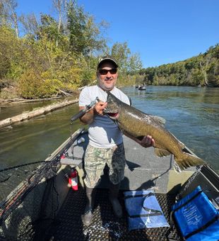 Beautiful Chinook salmon from Brethren MI waters!