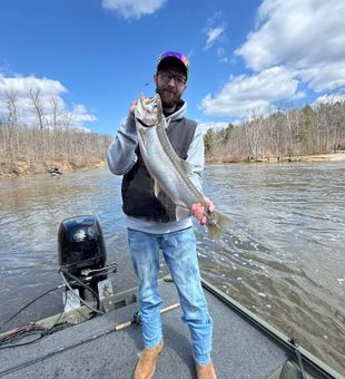 Solid steelhead trout river catch
