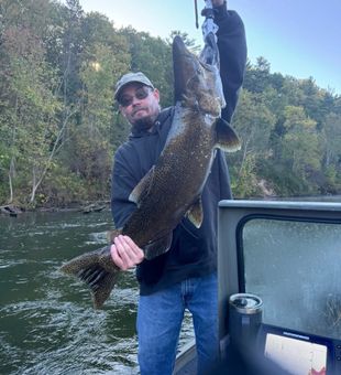 Fall steelhead run in Michigan rivers