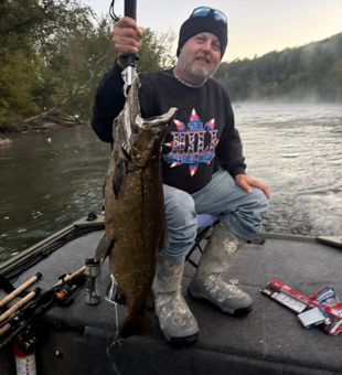 Manistee River fishing for trophy Salmon in Michigan.