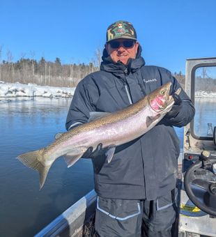 Beautiful rainbow trout from Brethren MI waters!